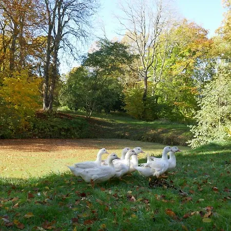 Schloss Hotel Kolzow