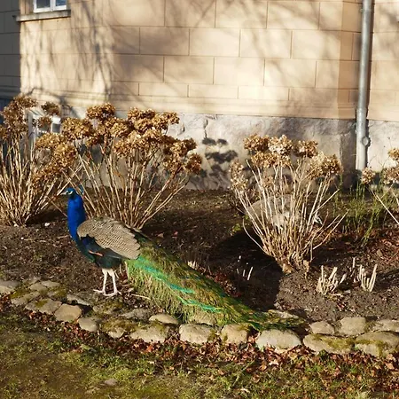 Schloss Hotel Kolzow