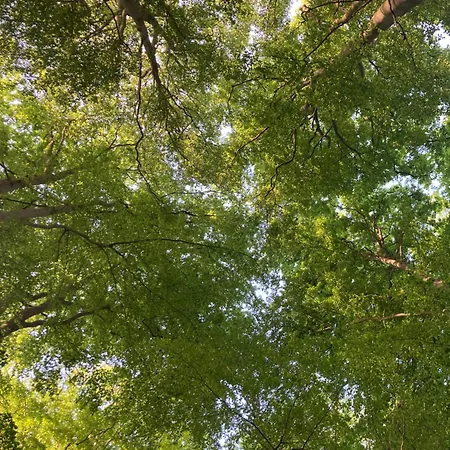 Schloss Hotel Kolzow